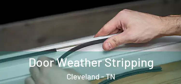  Door Weather Stripping Cleveland - TN