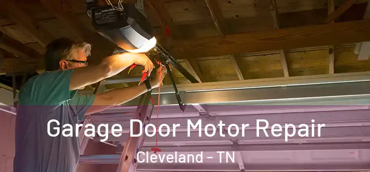  Garage Door Motor Repair Cleveland - TN