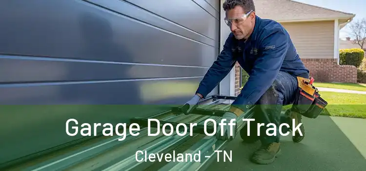  Garage Door Off Track Cleveland - TN
