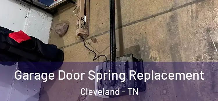  Garage Door Spring Replacement Cleveland - TN