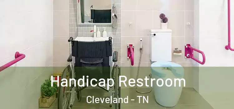  Handicap Restroom Cleveland - TN
