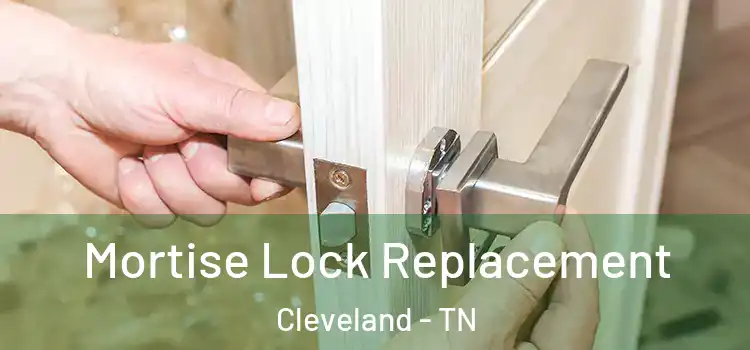 Mortise Lock Replacement Cleveland - TN